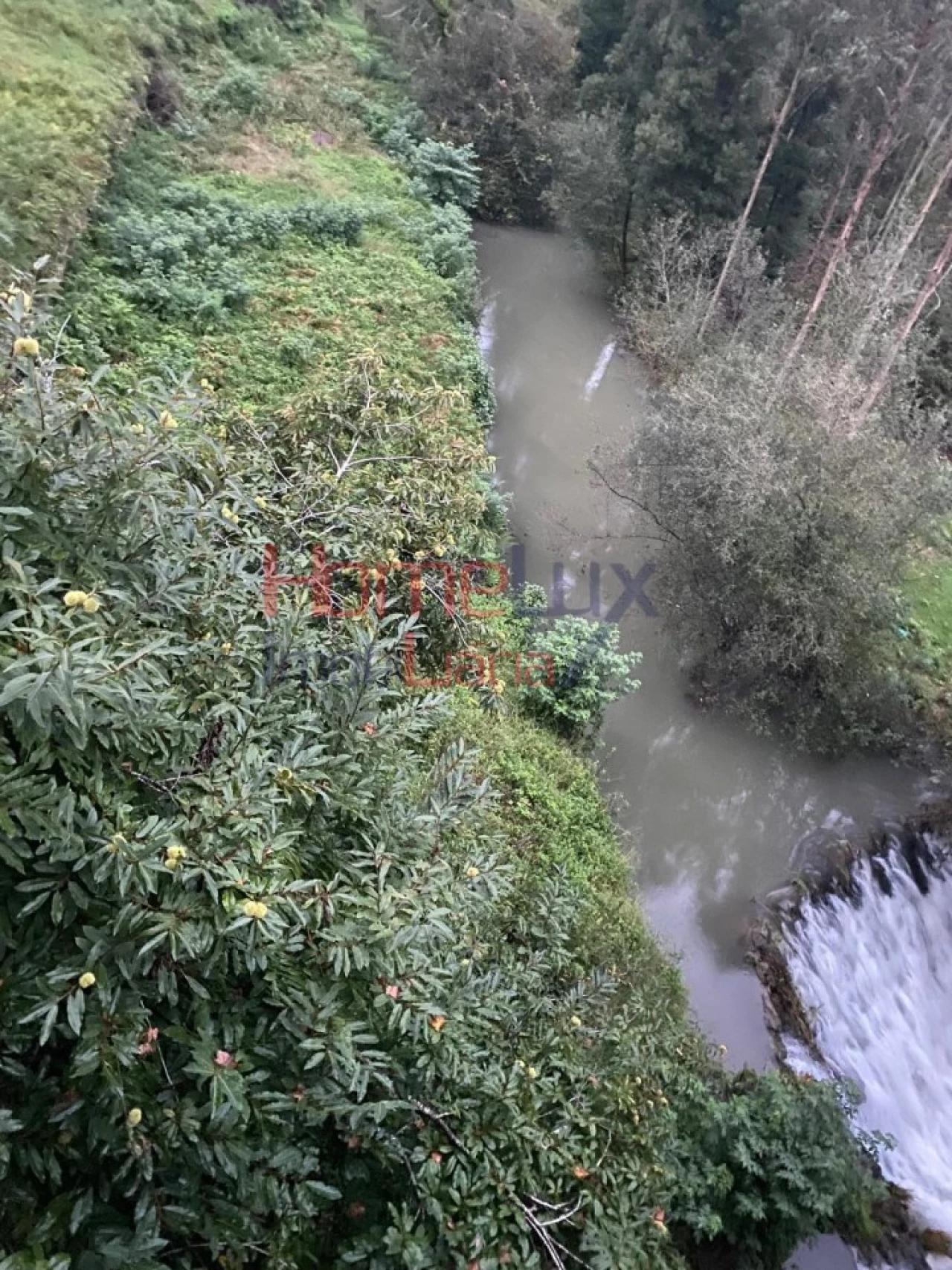 Terreno Agricola ou Rústico para Venda em O. Azeméis, Riba-Ul, Ul, Macinhata Seixa, Madail Foto 8
