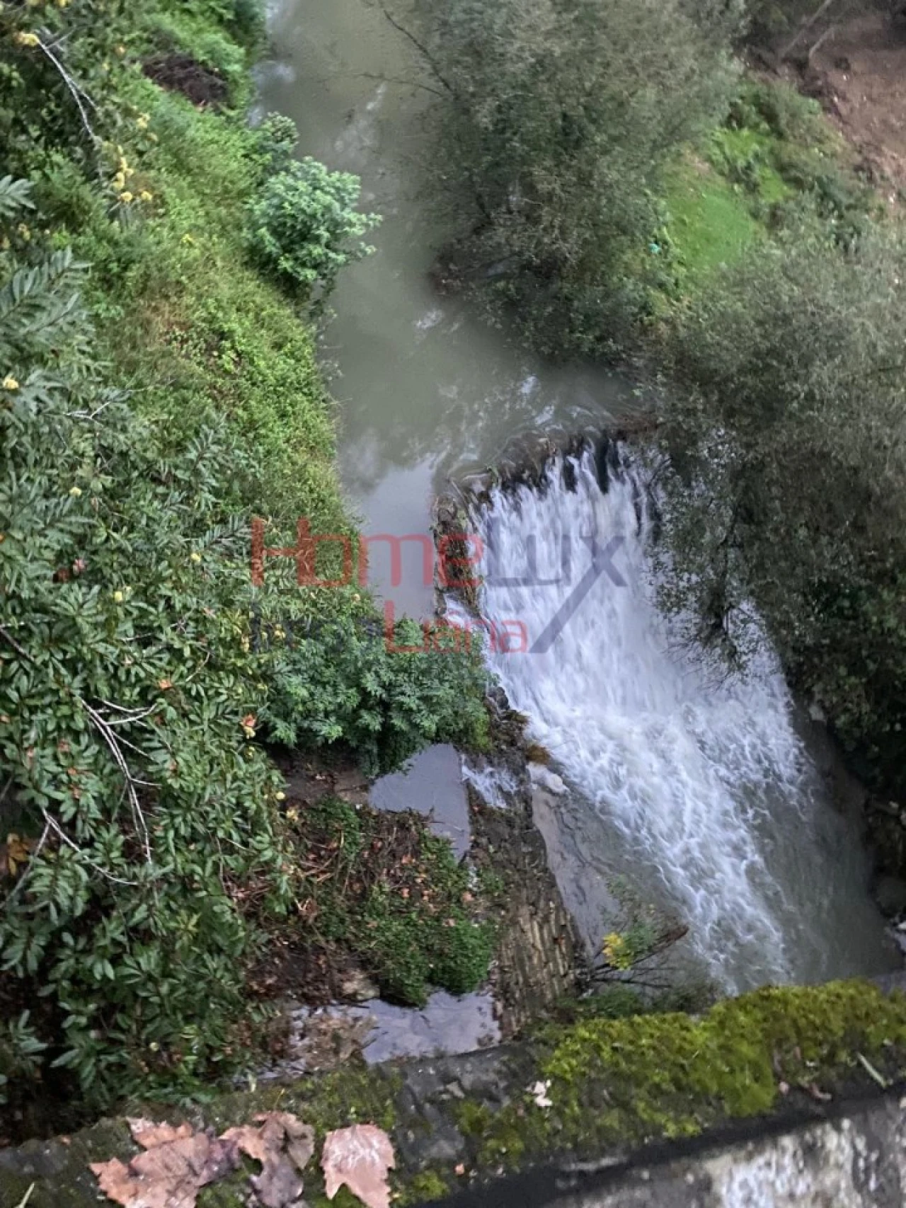 Terreno Agricola ou Rústico para Venda em O. Azeméis, Riba-Ul, Ul, Macinhata Seixa, Madail Foto 9