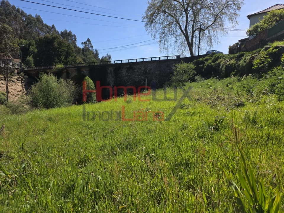 Terreno Agricola ou Rústico para Venda em O. Azeméis, Riba-Ul, Ul, Macinhata Seixa, Madail Foto 1