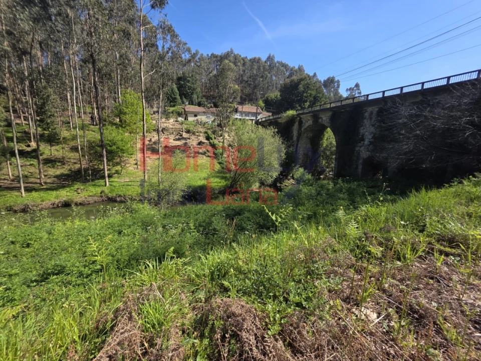 Terreno Agricola ou Rústico para Venda em O. Azeméis, Riba-Ul, Ul, Macinhata Seixa, Madail Foto 5