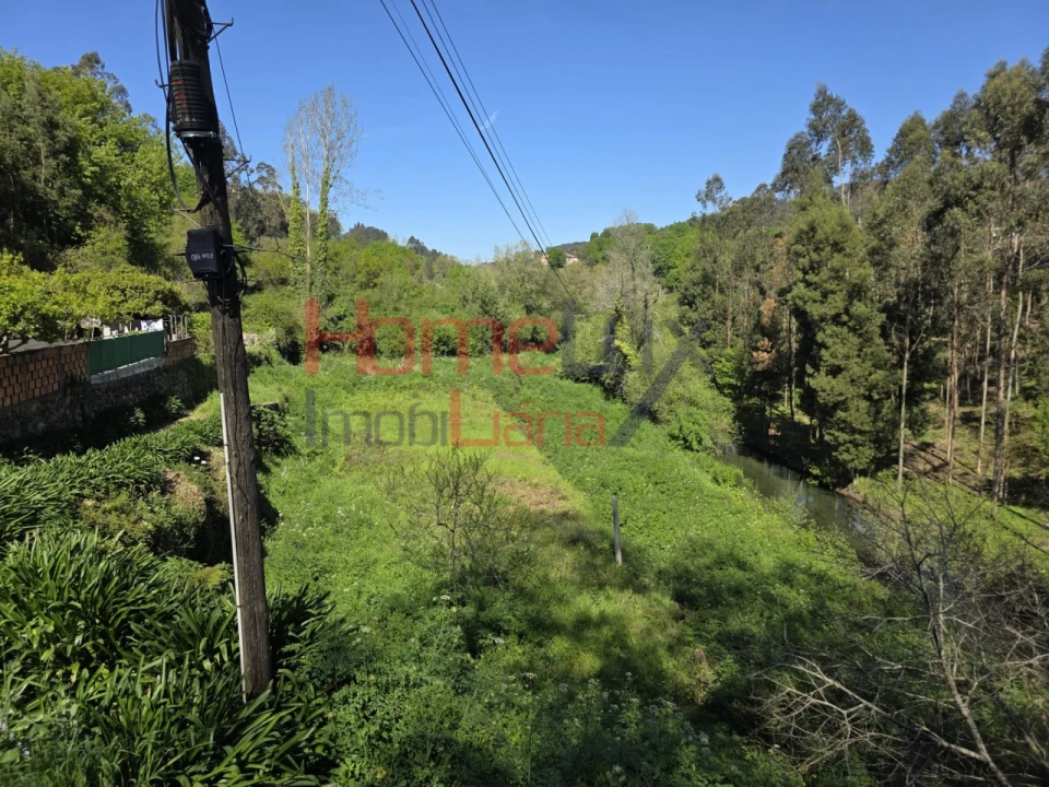 Terreno Agricola ou Rústico para Venda em O. Azeméis, Riba-Ul, Ul, Macinhata Seixa, Madail Foto 7