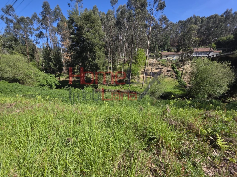 Terreno Agricola ou Rústico para Venda em O. Azeméis, Riba-Ul, Ul, Macinhata Seixa, Madail Foto 8
