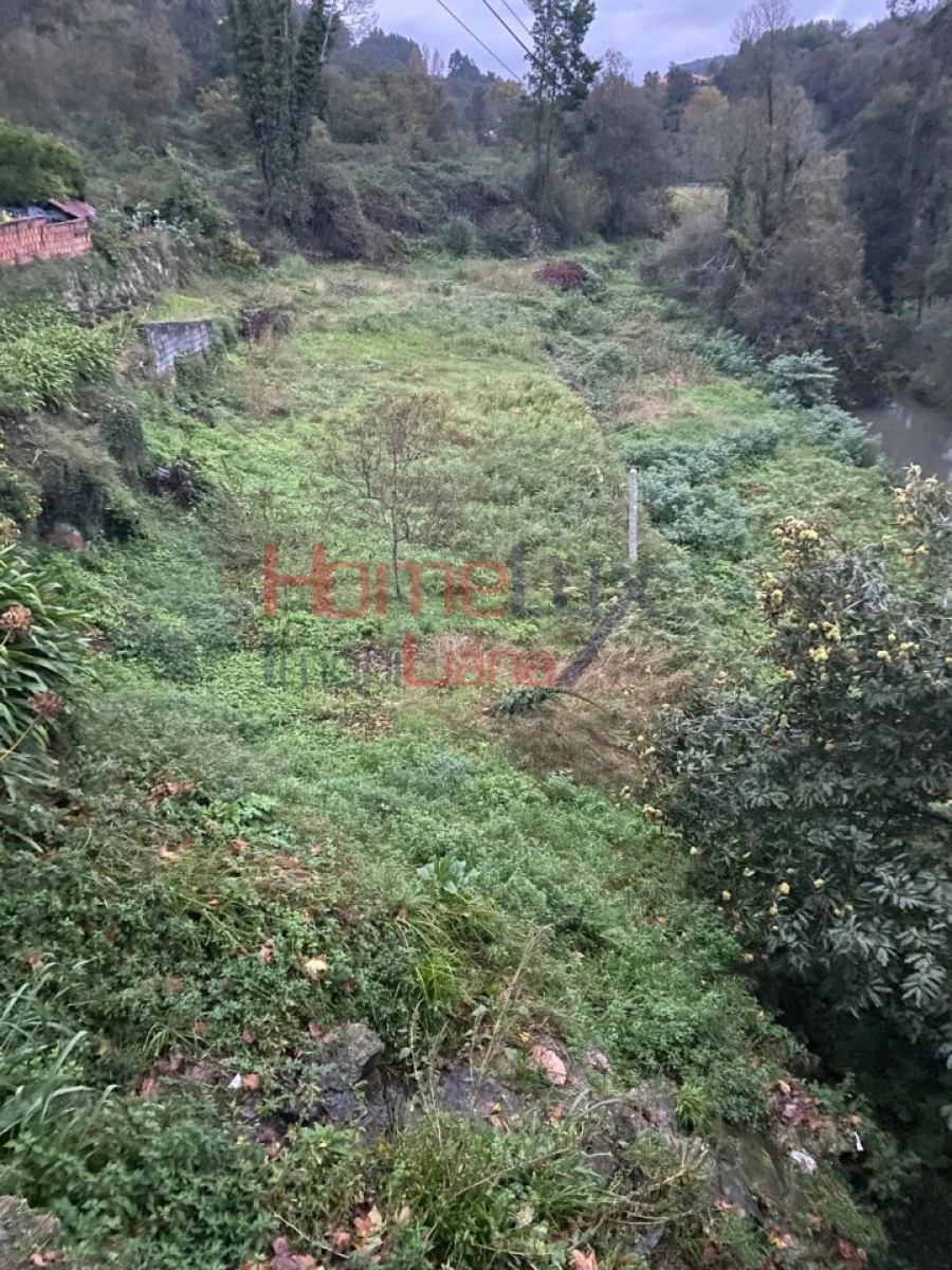 Terreno Agricola ou Rústico para Venda em O. Azeméis, Riba-Ul, Ul, Macinhata Seixa, Madail Foto 5