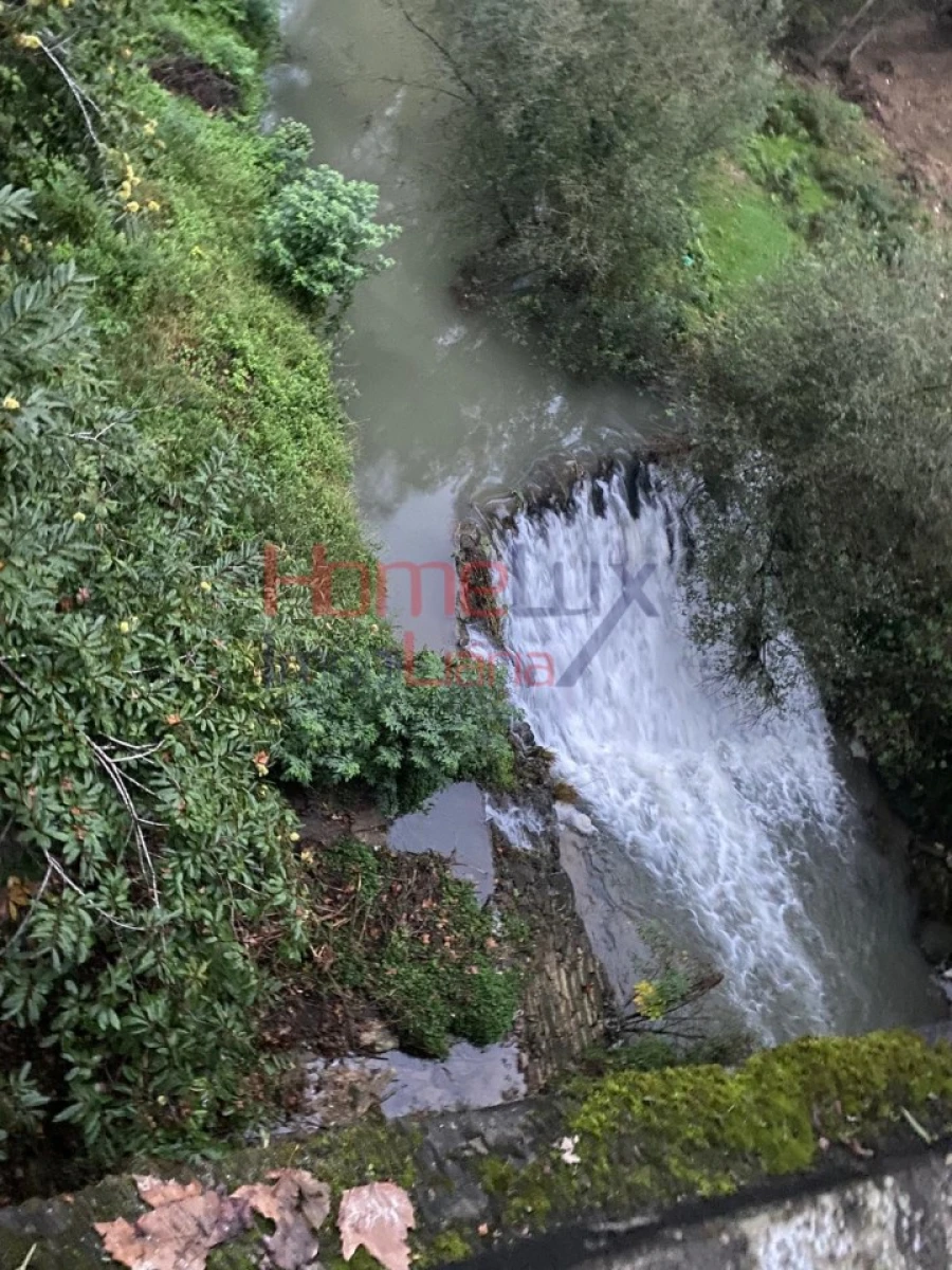 Terreno Agricola ou Rústico para Venda em O. Azeméis, Riba-Ul, Ul, Macinhata Seixa, Madail Foto 9