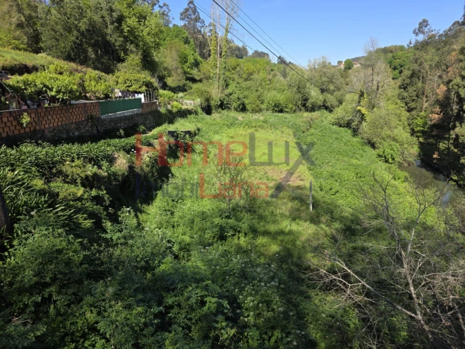Terreno Agricola ou Rústico para Venda em O. Azeméis, Riba-Ul, Ul, Macinhata Seixa, Madail Foto 2