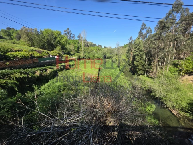 Terreno Agricola ou Rústico para Venda em O. Azeméis, Riba-Ul, Ul, Macinhata Seixa, Madail Foto 4