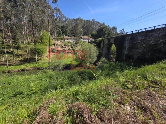 Terreno Agricola ou Rústico para Venda em O. Azeméis, Riba-Ul, Ul, Macinhata Seixa, Madail Foto 5