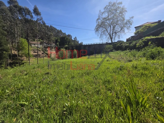 Terreno Agricola ou Rústico para Venda em O. Azeméis, Riba-Ul, Ul, Macinhata Seixa, Madail Foto 6