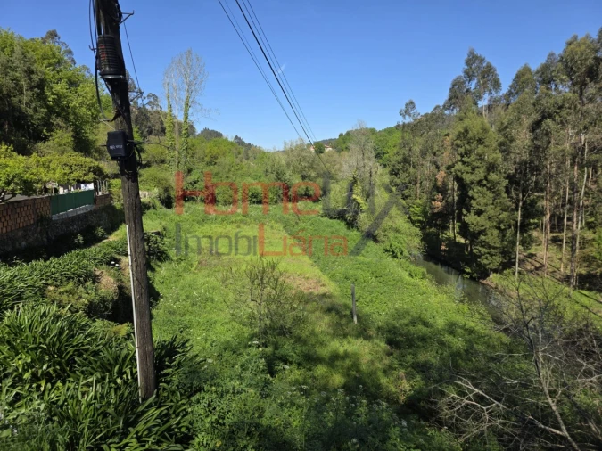 Terreno Agricola ou Rústico para Venda em O. Azeméis, Riba-Ul, Ul, Macinhata Seixa, Madail Foto 7