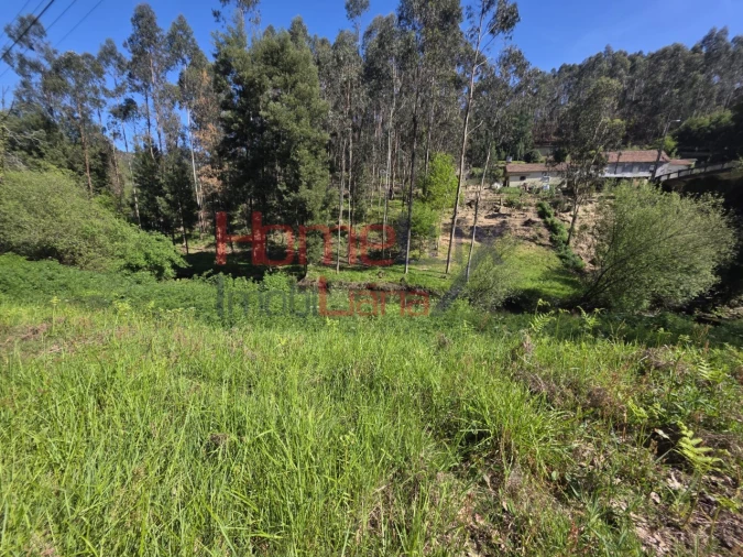 Terreno Agricola ou Rústico para Venda em O. Azeméis, Riba-Ul, Ul, Macinhata Seixa, Madail Foto 8