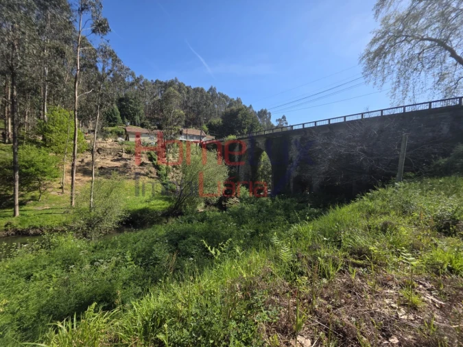 Terreno Agricola ou Rústico para Venda em O. Azeméis, Riba-Ul, Ul, Macinhata Seixa, Madail Foto 9