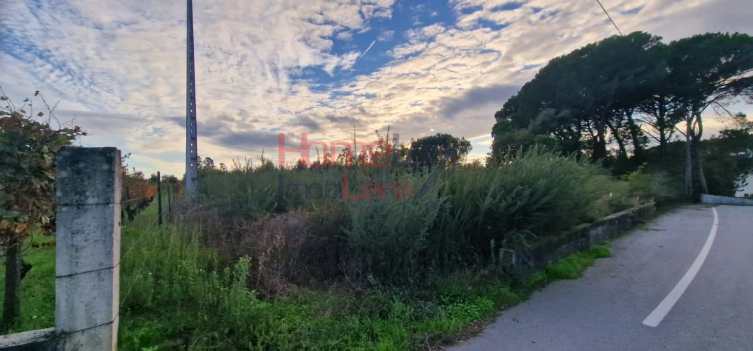 Terreno Agricola ou Rústico para Venda em Silgueiros Foto 2