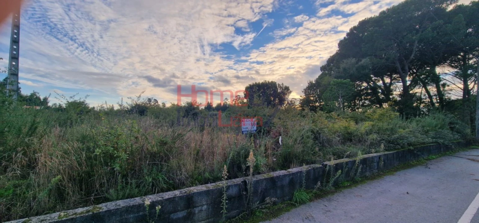 Terreno Agricola ou Rústico para Venda em Silgueiros Foto 4