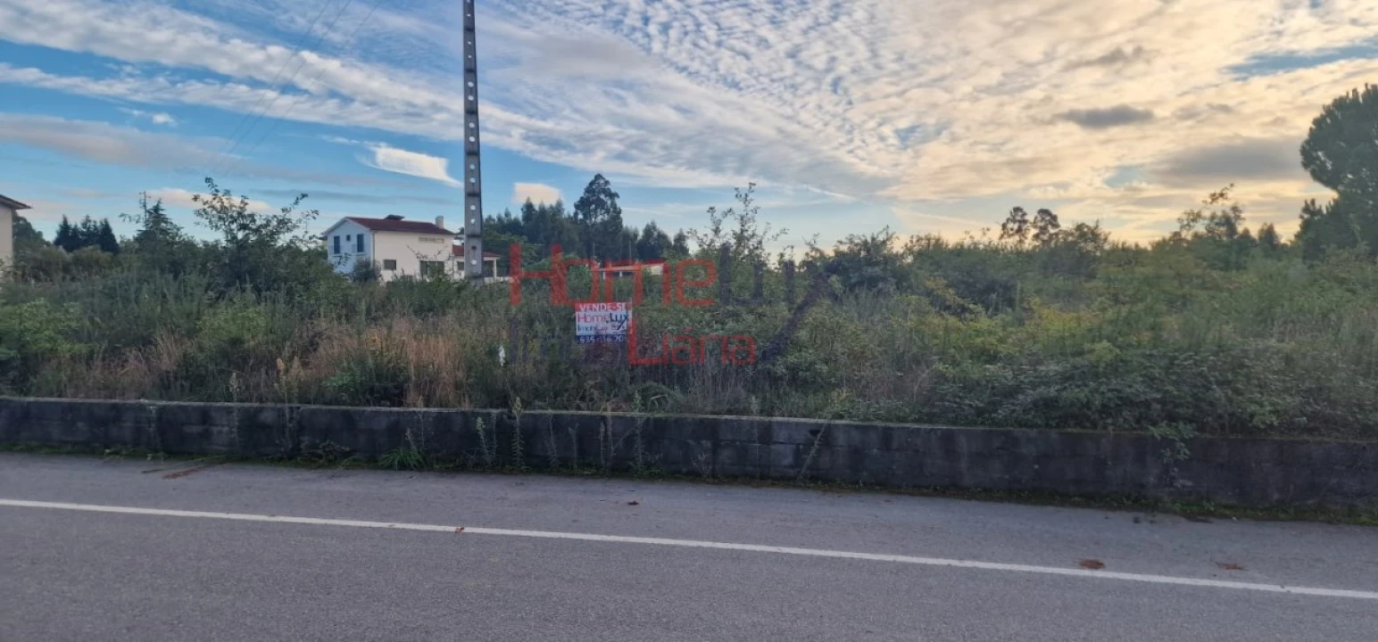 Terreno Agricola ou Rústico para Venda em Silgueiros Foto 11
