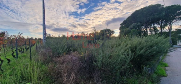 Terreno Agricola ou Rústico para Venda em Silgueiros