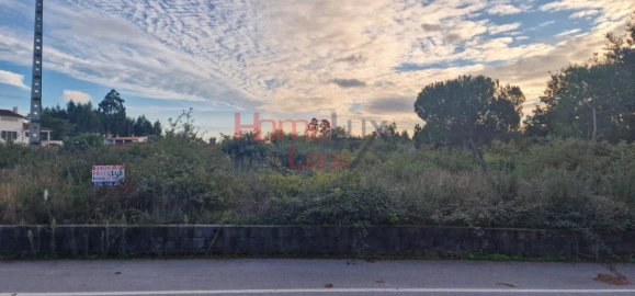 Terreno Agricola ou Rústico para Venda em Silgueiros