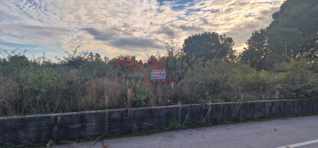 Terreno Agricola ou Rústico para Venda em Silgueiros