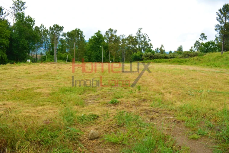 Terreno para Venda em Vouzela e Paços de Vilharigues Foto 3