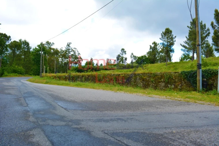 Terreno para Venda em Vouzela e Paços de Vilharigues Foto 6