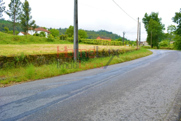 Terreno para Venda em Vouzela e Paços de Vilharigues Foto 7