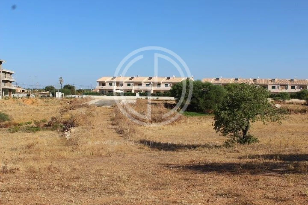 Terreno para Venda em Ferreiras Foto 7