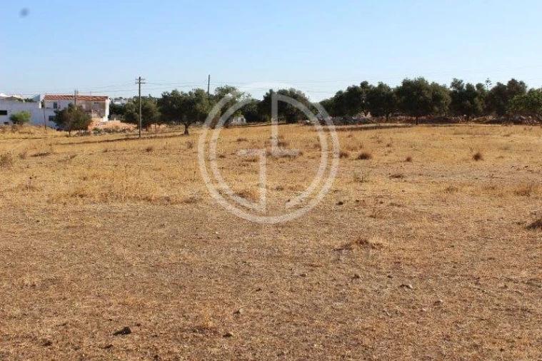 Terreno para Venda em Ferreiras Foto 2