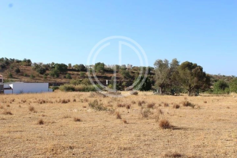Terreno para Venda em Ferreiras Foto 5