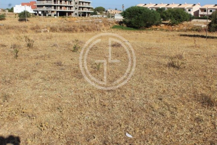 Terreno para Venda em Ferreiras Foto 6