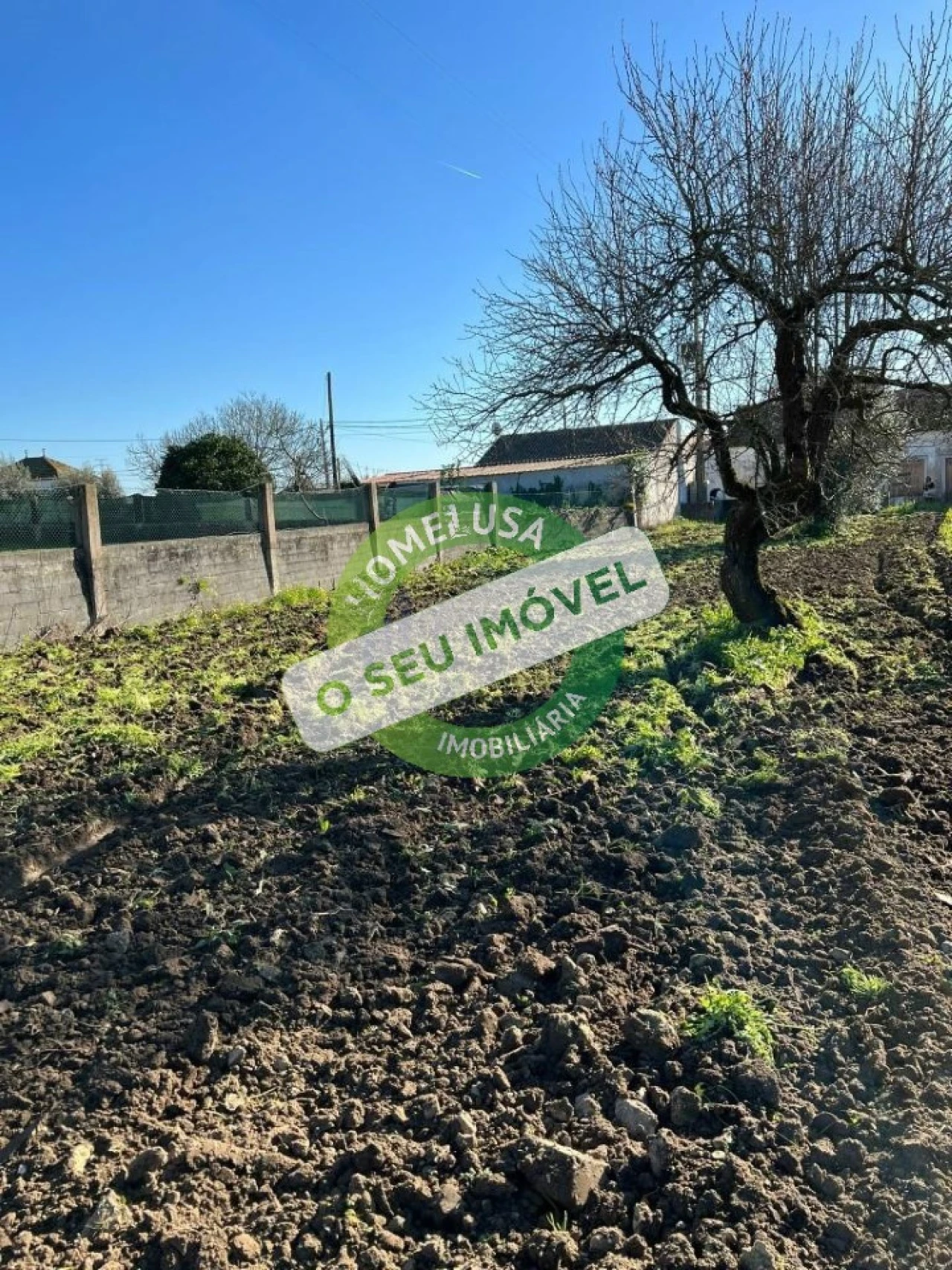 Terreno para Venda em Maiorca Foto 3