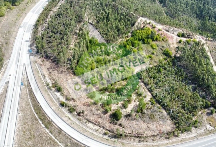 Terreno para Venda em Maiorca Foto 5