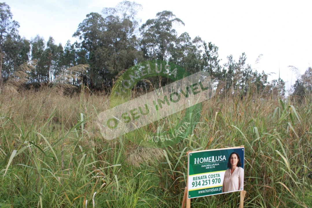Terreno para Venda em Montemor-O-Velho e Gatões Foto 3