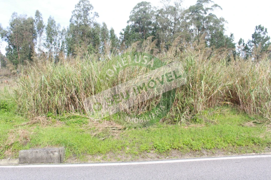 Terreno para Venda em Montemor-O-Velho e Gatões Foto 6