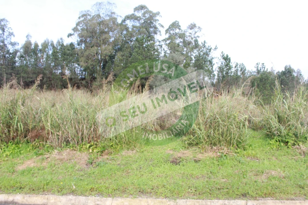 Terreno para Venda em Montemor-O-Velho e Gatões Foto 8