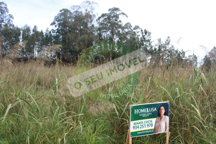 Terreno para Venda em Montemor-O-Velho e Gatões Foto 3