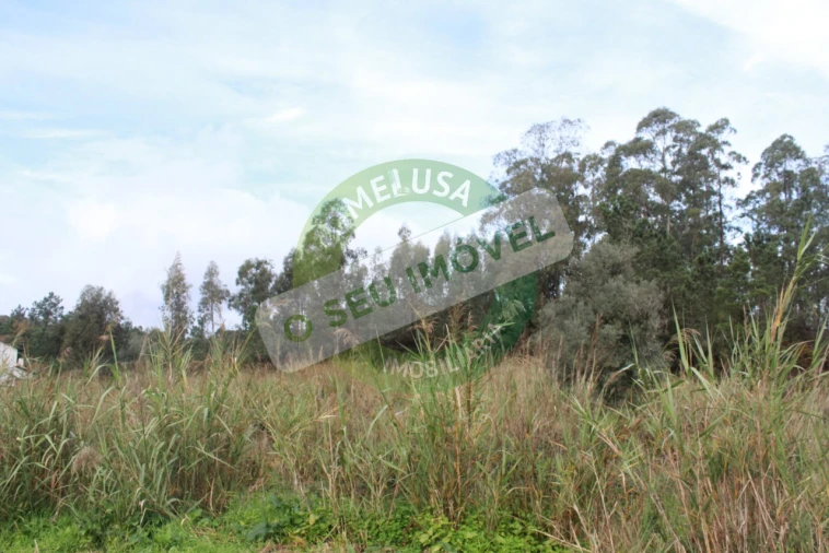 Terreno para Venda em Montemor-O-Velho e Gatões Foto 11