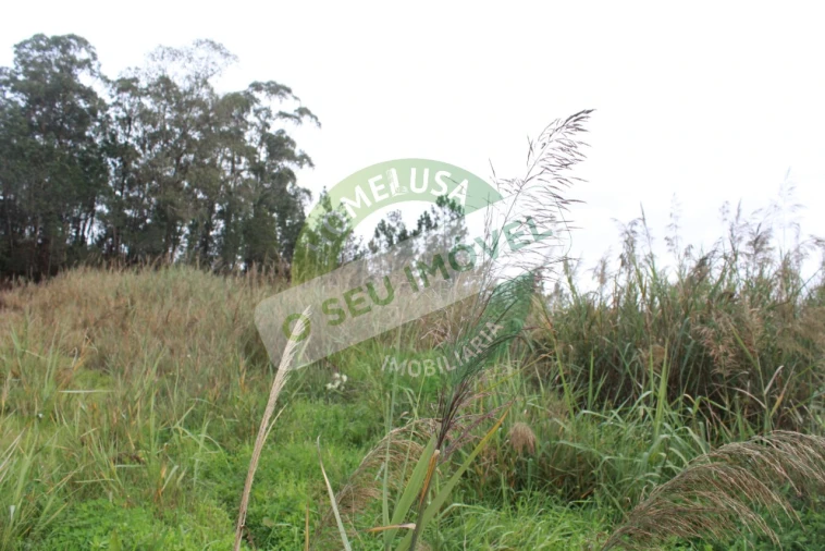 Terreno para Venda em Montemor-O-Velho e Gatões Foto 12
