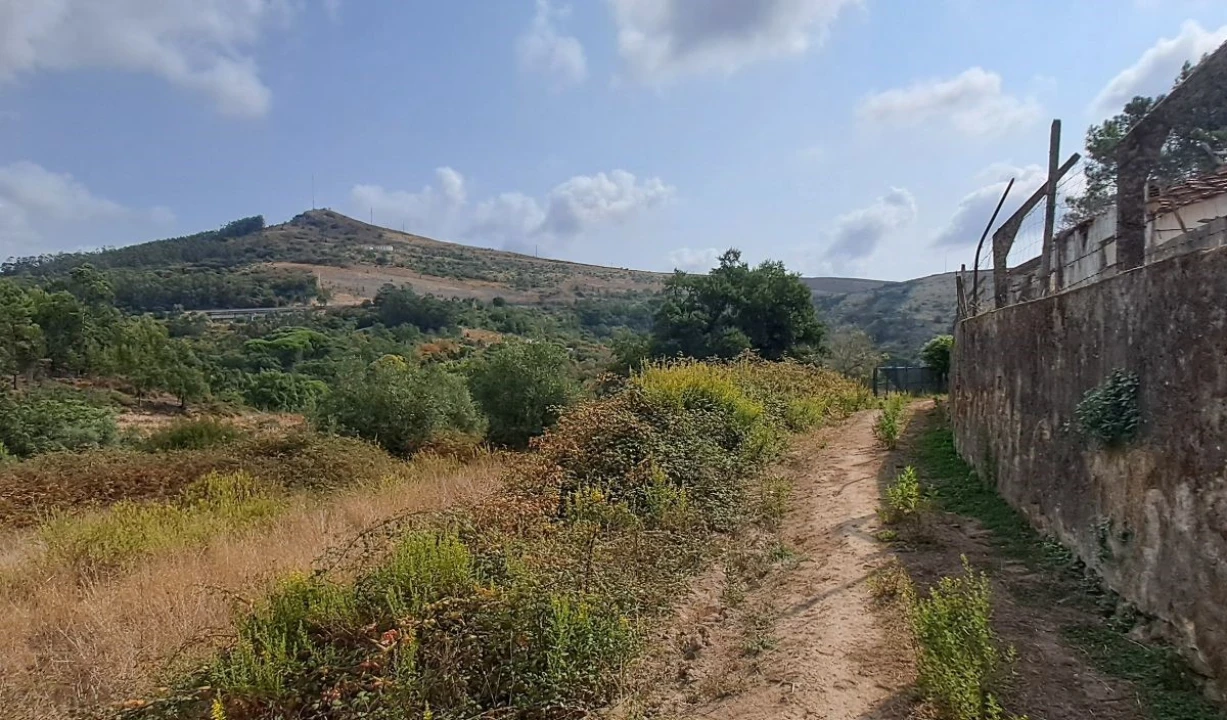 Terreno para Venda em Lousa Foto 3