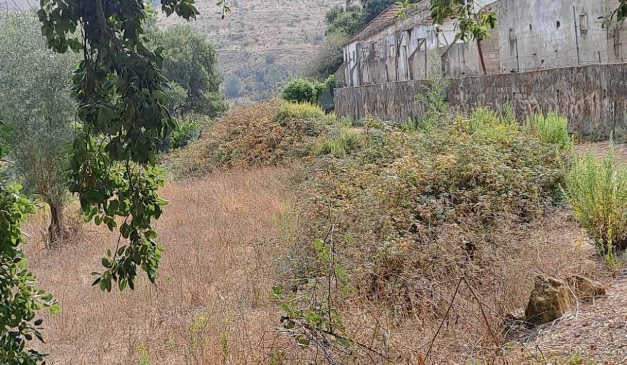 Terreno para Venda em Lousa Foto 5