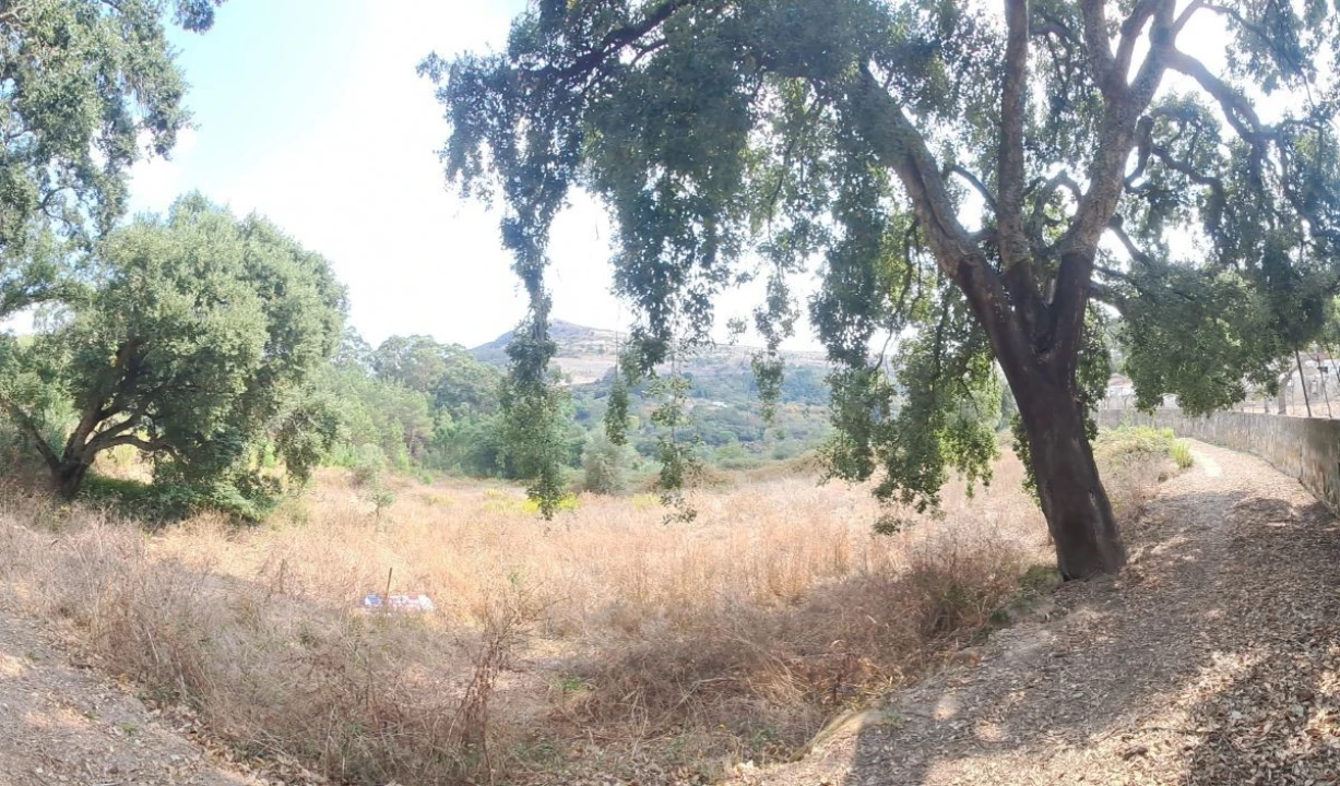 Terreno para Venda em Lousa Foto 7