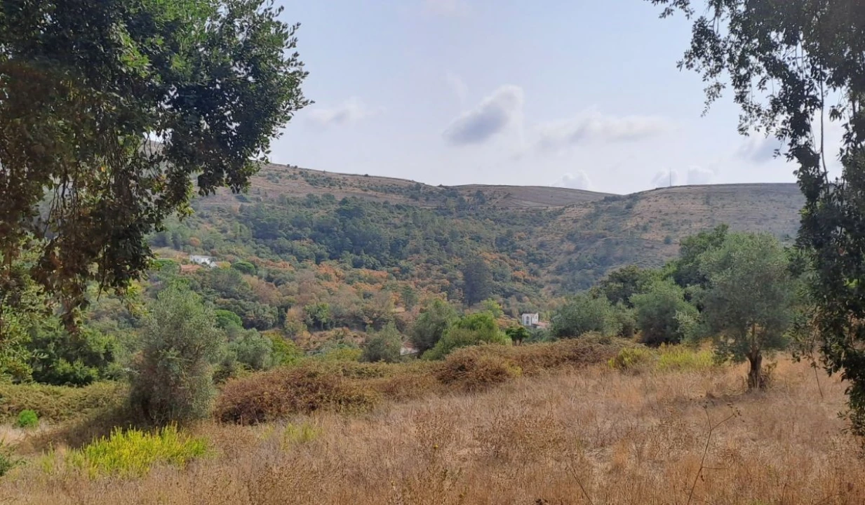Terreno para Venda em Lousa Foto 9