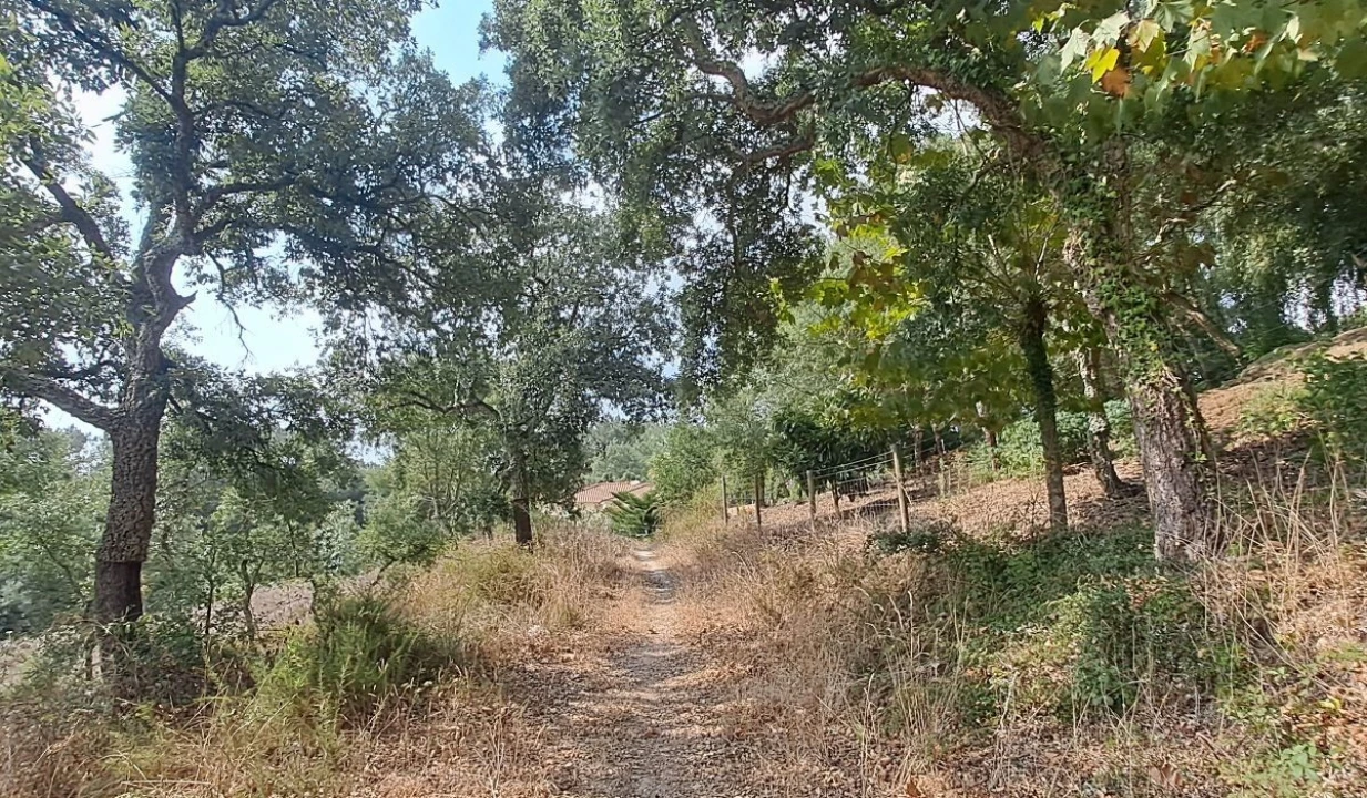 Terreno para Venda em Lousa Foto 10