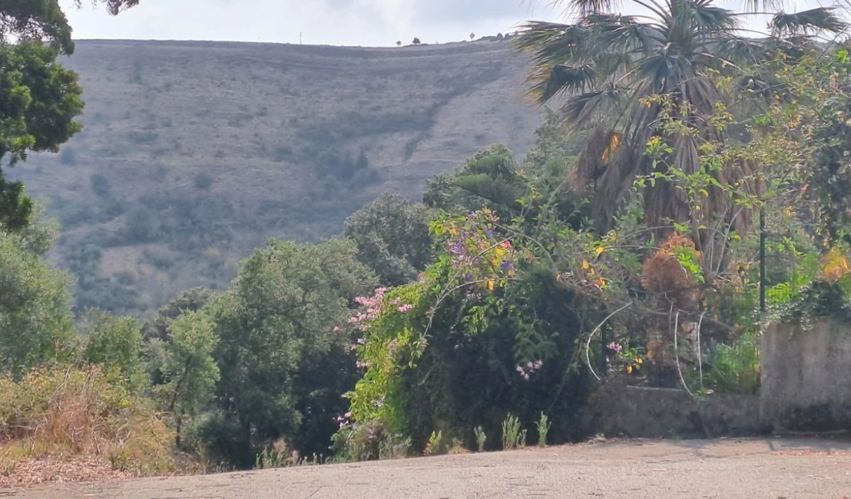 Terreno para Venda em Lousa Foto 11