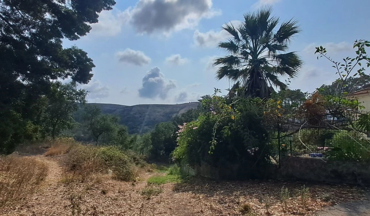 Terreno para Venda em Lousa Foto 12