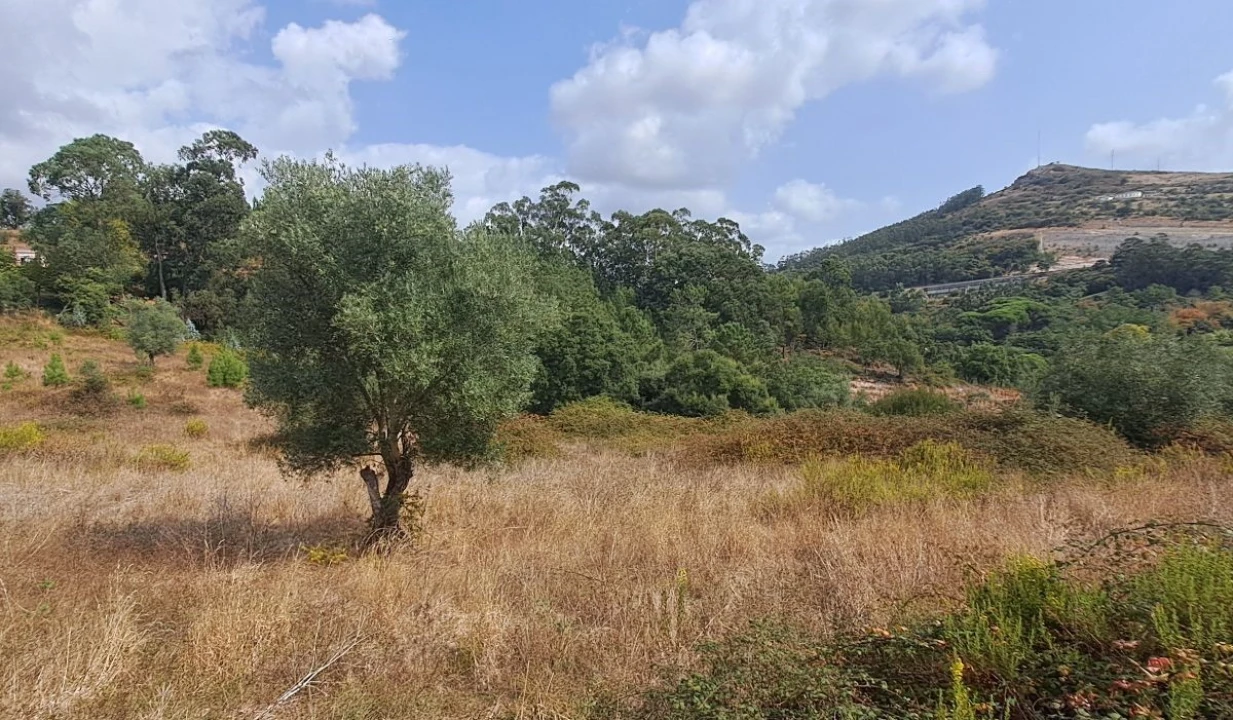 Terreno para Venda em Lousa Foto 14