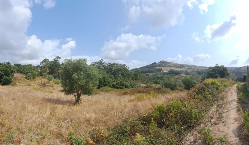 Terreno para Venda em Lousa Foto 2