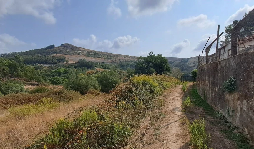 Terreno para Venda em Lousa Foto 3