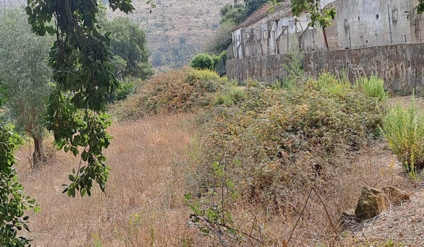 Terreno para Venda em Lousa Foto 5