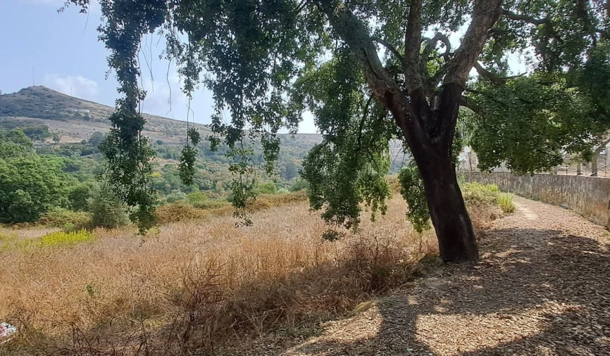 Terreno para Venda em Lousa Foto 8