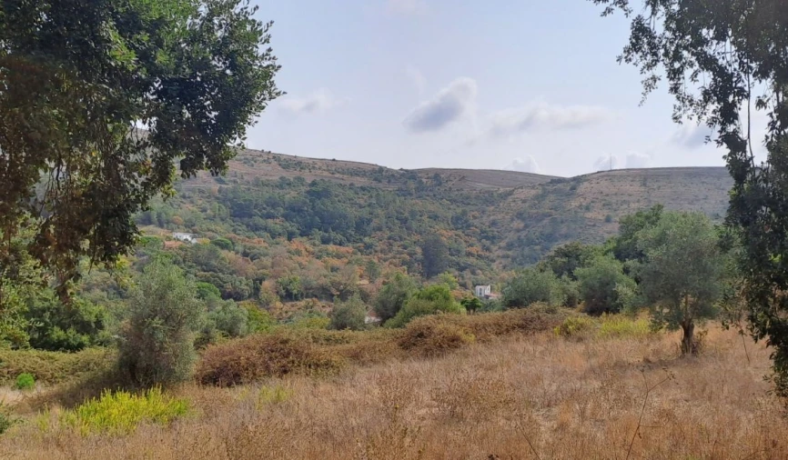 Terreno para Venda em Lousa Foto 9
