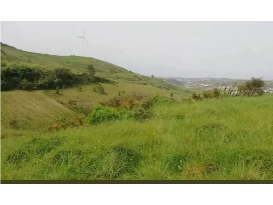 Terreno para Venda em Milharado Foto 8